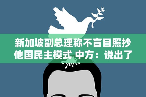 新加坡副总理称不盲目照抄他国民主模式 中方：说出了很多国家的心声