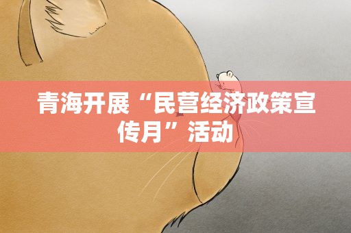 青海开展“民营经济政策宣传月”活动