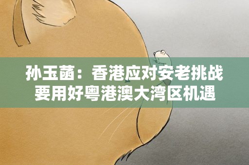 孙玉菡：香港应对安老挑战要用好粤港澳大湾区机遇