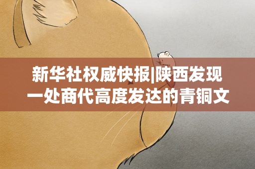 新华社权威快报|陕西发现一处商代高度发达的青铜文明和区域政治的中心