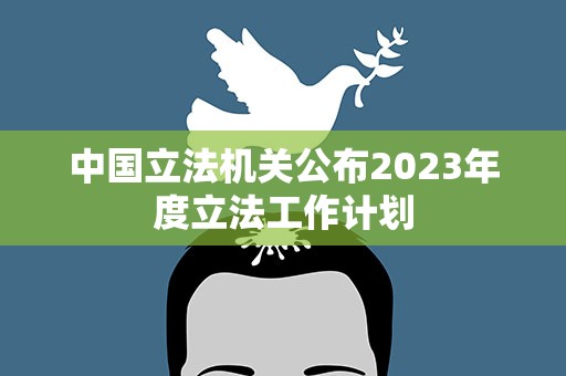 中国立法机关公布2023年度立法工作计划