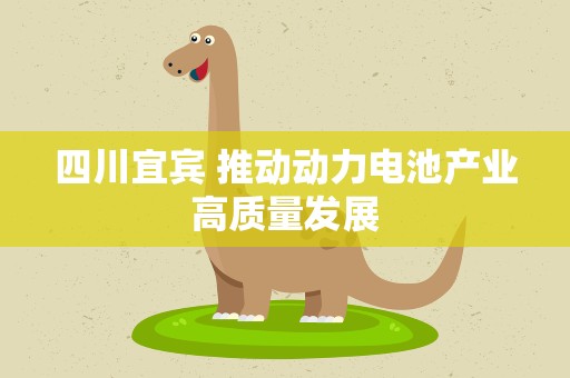 四川宜宾 推动动力电池产业高质量发展