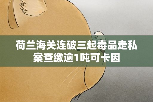 荷兰海关连破三起毒品走私案查缴逾1吨可卡因