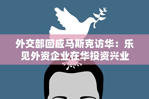 外交部回应马斯克访华：乐见外资企业在华投资兴业
