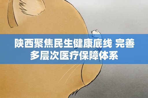 陕西聚焦民生健康底线 完善多层次医疗保障体系