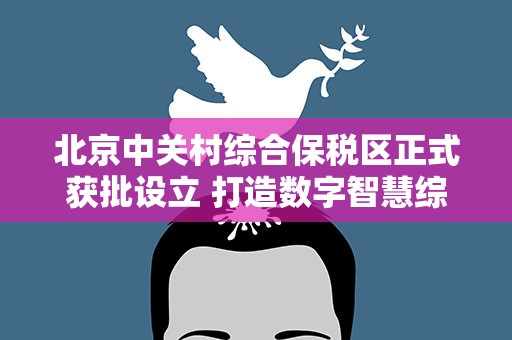 北京中关村综合保税区正式获批设立 打造数字智慧综保区
