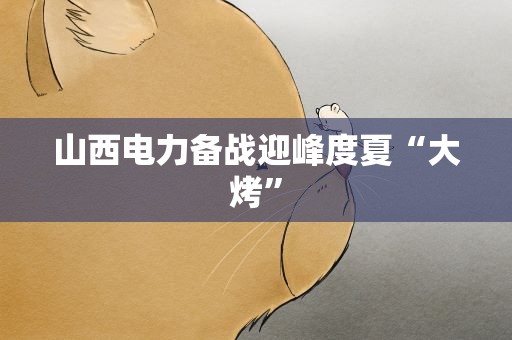 山西电力备战迎峰度夏“大烤”