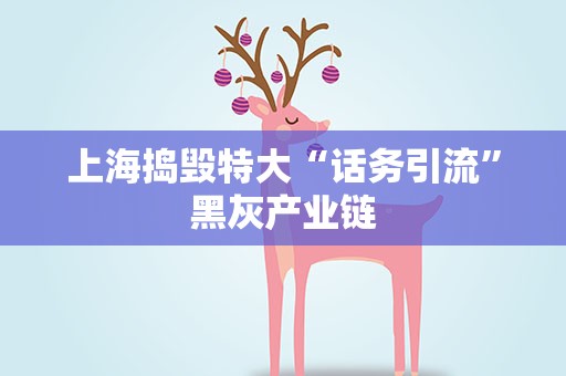 上海捣毁特大“话务引流”黑灰产业链