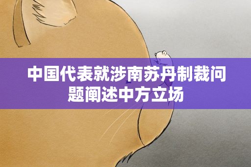 中国代表就涉南苏丹制裁问题阐述中方立场