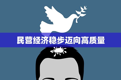 民营经济稳步迈向高质量
