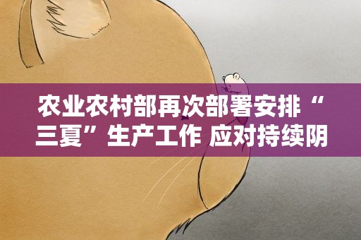 农业农村部再次部署安排“三夏”生产工作 应对持续阴雨天气及时抓好小麦抢收烘干晾晒