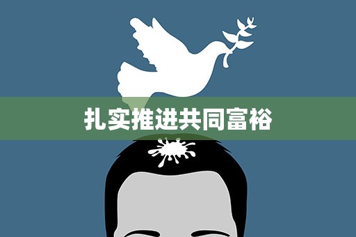 扎实推进共同富裕
