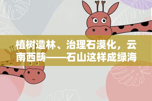 植树造林、治理石漠化，云南西畴——石山这样成绿海