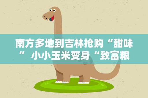 南方多地到吉林抢购“甜味” 小小玉米变身“致富粮”