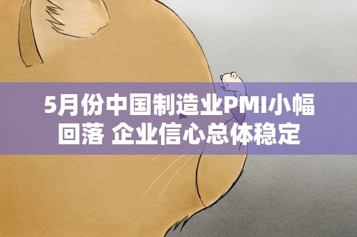 5月份中国制造业PMI小幅回落 企业信心总体稳定