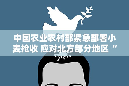 中国农业农村部紧急部署小麦抢收 应对北方部分地区“烂场雨”