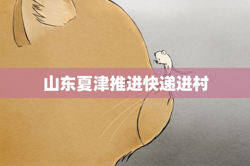 山东夏津推进快递进村