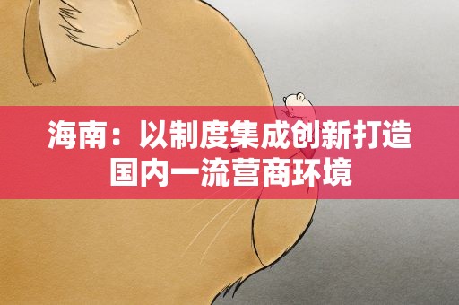 海南：以制度集成创新打造国内一流营商环境
