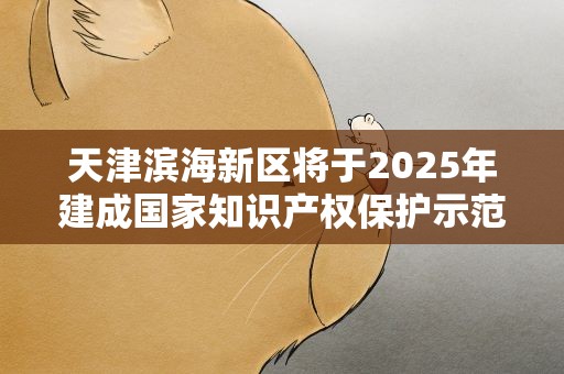 天津滨海新区将于2025年建成国家知识产权保护示范区
