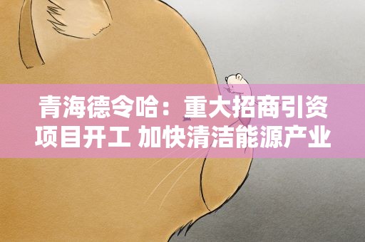青海德令哈：重大招商引资项目开工 加快清洁能源产业发展
