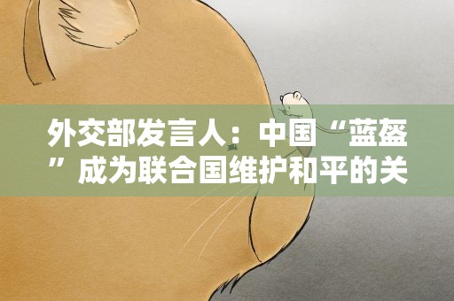 外交部发言人：中国“蓝盔”成为联合国维护和平的关键力量