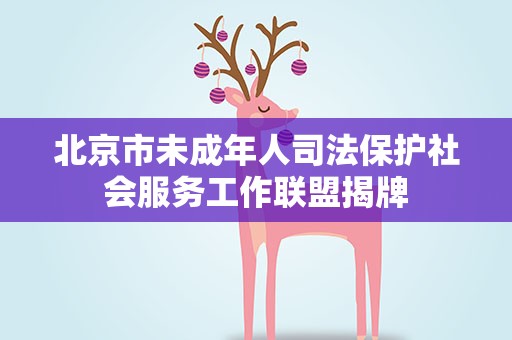 北京市未成年人司法保护社会服务工作联盟揭牌