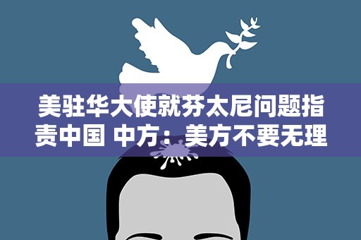 美驻华大使就芬太尼问题指责中国 中方：美方不要无理抹黑甩锅推责