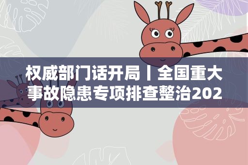 权威部门话开局丨全国重大事故隐患专项排查整治2023行动完成第一阶段任务