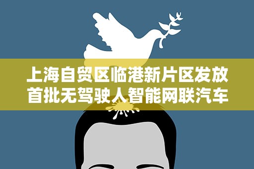 上海自贸区临港新片区发放首批无驾驶人智能网联汽车道路测试牌照