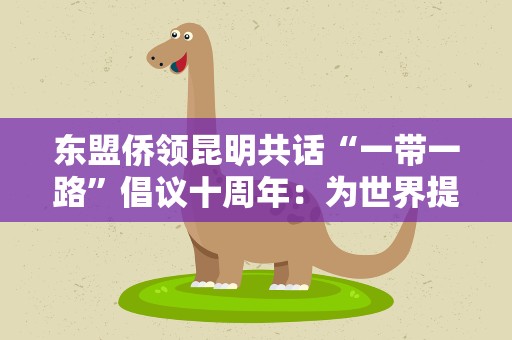 东盟侨领昆明共话“一带一路”倡议十周年：为世界提供新机遇