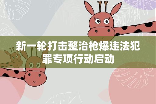 新一轮打击整治枪爆违法犯罪专项行动启动