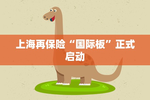 上海再保险“国际板”正式启动