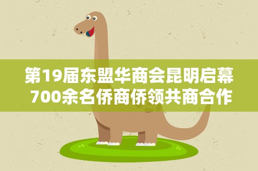 第19届东盟华商会昆明启幕 700余名侨商侨领共商合作