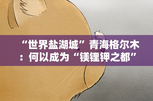 “世界盐湖城”青海格尔木：何以成为“镁锂钾之都”？