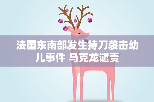 法国东南部发生持刀袭击幼儿事件 马克龙谴责