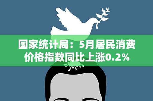 国家统计局：5月居民消费价格指数同比上涨0.2%