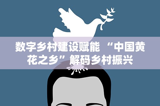 数字乡村建设赋能 “中国黄花之乡”解码乡村振兴
