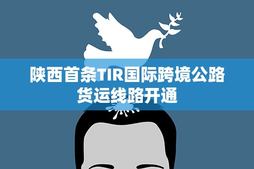 陕西首条TIR国际跨境公路货运线路开通