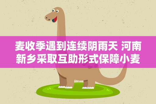 麦收季遇到连续阴雨天 河南新乡采取互助形式保障小麦晾晒