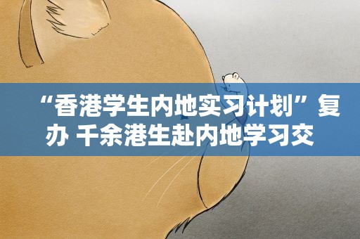 “香港学生内地实习计划”复办 千余港生赴内地学习交流