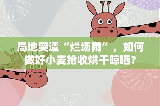 局地突遭“烂场雨”，如何做好小麦抢收烘干晾晒？