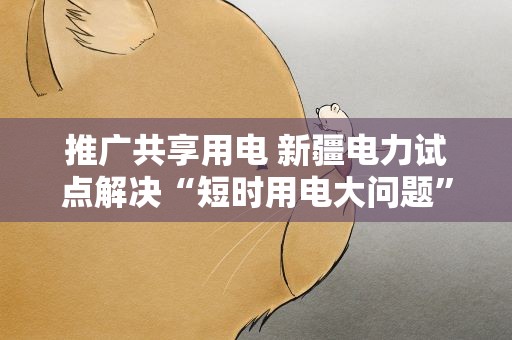 推广共享用电 新疆电力试点解决“短时用电大问题”