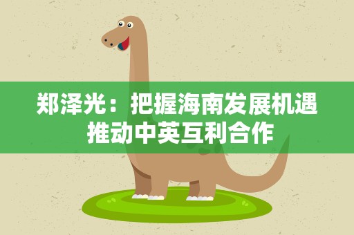 郑泽光：把握海南发展机遇 推动中英互利合作