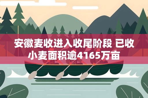 安徽麦收进入收尾阶段 已收小麦面积逾4165万亩
