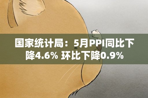 国家统计局：5月PPI同比下降4.6% 环比下降0.9%