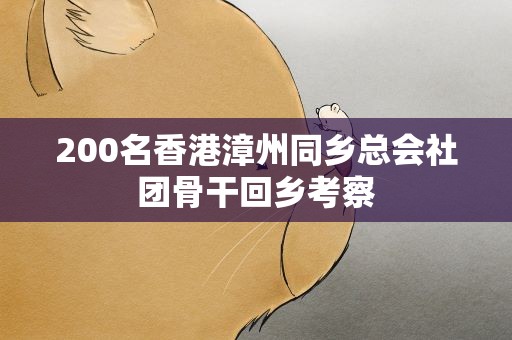 200名香港漳州同乡总会社团骨干回乡考察