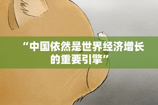 “中国依然是世界经济增长的重要引擎”