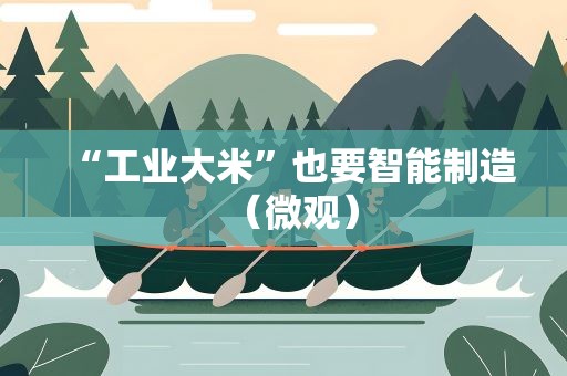 “工业大米”也要智能制造（微观）