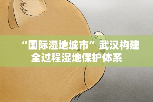 “国际湿地城市”武汉构建全过程湿地保护体系