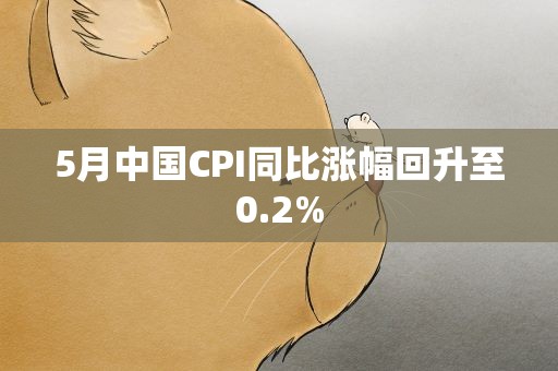 5月中国CPI同比涨幅回升至0.2%